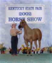 MsYellaFella.jpg (613480 bytes)