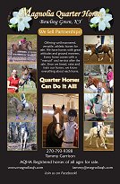 Elite Equestrian Ad