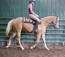 quarter horse filly for sale, Skips Bo Cleopatra