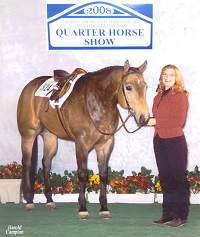 Quarter horse for sale, Skips Bo Zack