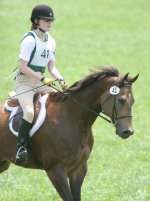 Quarter horse for sale, Skips Bo Zack