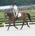 Quarter horse for sale, Skips Bo Zack